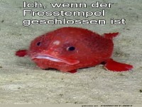 Wenn der Snack-Automat streikt