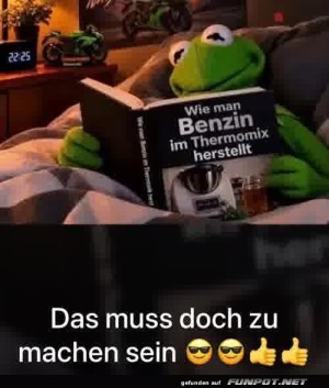 Kermit-entdeckt-neue-Kochk�nste.jpg auf www.funpot.net
