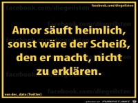 diegeilsten Amor