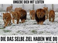 Umgebe dich mit Leuten