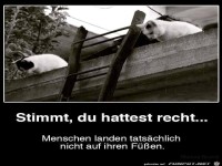 Menschen