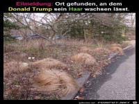Eilmeldung Donald Trump