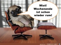 Mist! Wochenende ist schon wieder...