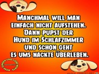 Der Hund im Schlafzimmer