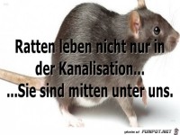 Ratten