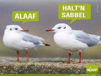 Alaaf