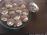 Putziger Igel