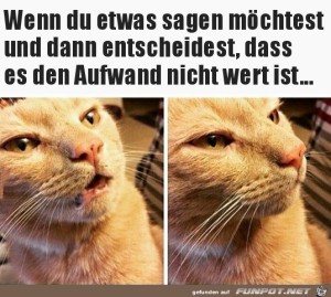 Ich-sage-doch-nichts.jpg auf www.funpot.net