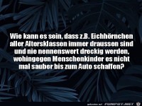 Eichh�rnchen sind immer sauber