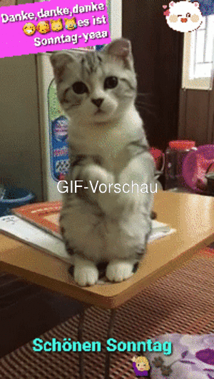 Schönen Sonntag