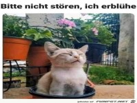 Nicht st�ren