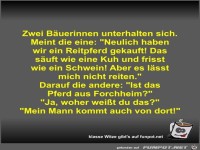 Zwei Buerinnen unterhalten sich