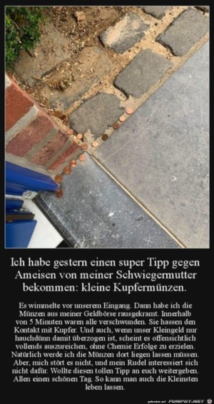 Guter-Tipp.jpg auf www.funpot.net