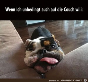 Will-auch-auf-die-Couch.jpg auf www.funpot.net