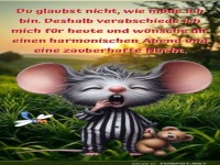 Du glaubst nicht wie mde ich bin