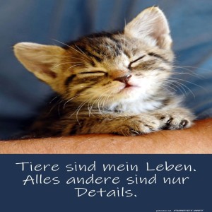 herz-Bild: Tiere sind mein Leben