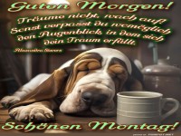 Guten Morgen! Start in den Montag