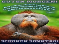 Guten Morgen! Schnen Sonntag!