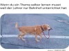 weiter