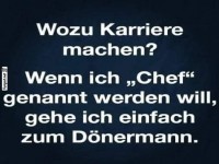 Wozu Karriere machen? Humorvolle Perspektive