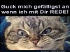 weiter