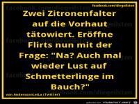 diegeilsten Zitronenfalter