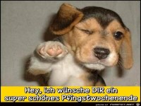 schnes Pfingstwochenende