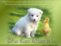 Du bist klasse