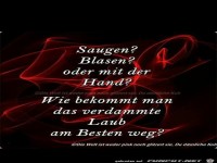 Saugen? Blasen? oder mit der Hand?