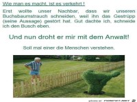 Buchsbaum