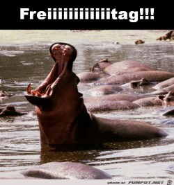 Freitag.jpg auf www.funpot.net