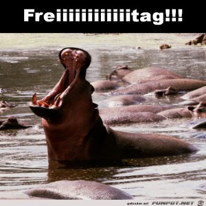 Begr&uuml;&szlig;ungsbild