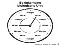 Die biologische Uhr