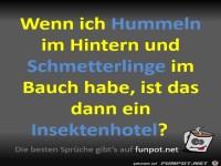 Schmetterlinge im Bauch