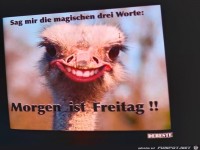 Sag mir die drei magischen Worte