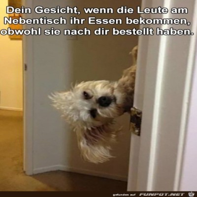 Andere-bekommen-zuerst-ihr-Essen.jpg von Luigi