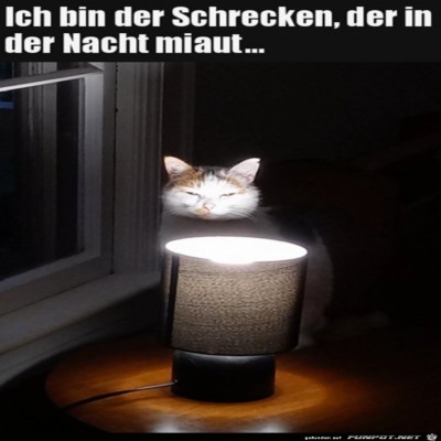 Schrecken-der-Nacht.jpg von SWolle