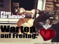 Mein Plan f�r heute