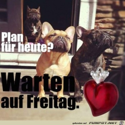 Mein-Plan-für-heute.jpg von Lasse