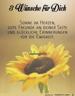 Drei-Wnsche-fr-dich.jpg auf www.funpot.net