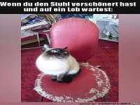 Stuhl versch�nert