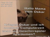 Hund soll fragen
