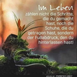 herz-Bild: Im Leben zählen nicht die Schritte