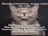 weiter
