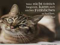 Katzenweisheit: Frhlich beginnt!