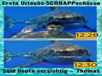 Hai, das perfekte Urlaubs-SNAP!