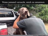 Unbeholfene Umarmung mit Hundeblick