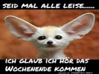 Ich h�re das Wochenende