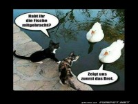 So läuft das heute