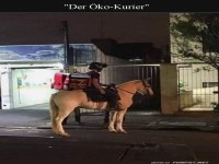 Pferdemacht: Lieferdienst auf nachhaltige Art